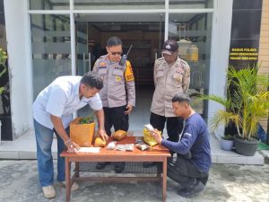 Polsek Sentani Kota Ungkap Jaringan Peredaran Ganja di Yabaso