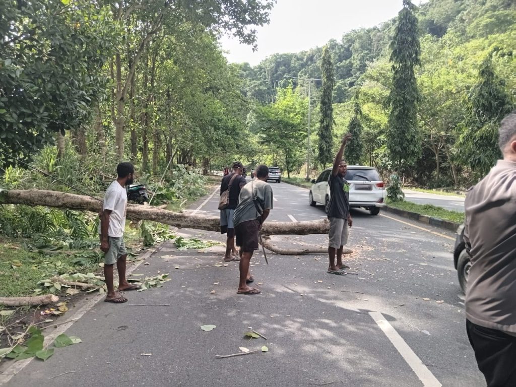 Pengendara Motor Tewas Tertimpa Pohon di Sentani Timur Akibat Angin Kencang