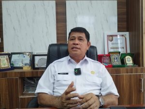 Lingkungan dan Gaya Hidup Buruk, ISPA Jadi Penyakit Paling Banyak di Jayapura