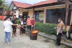 Satresnarkoba Polres Jayapura Musnahkan 848,6 Gram Ganja dari Tiga Kasus Penangkapan 