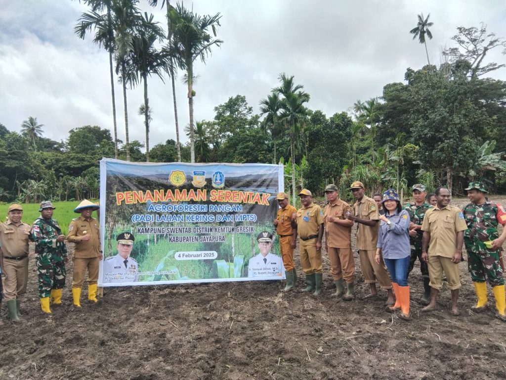 Pj Bupati Jayapura Tanam Perdana Padi Gogo di Kampung Swentab, Dukung Swasembada Pangan