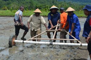 Bupati Jayapura Canangkan Lembah Grime Jadi Lumbung Pangan Lokal