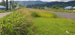 Susi Air Hentikan Penerbangan ke Mamberamo Raya karena Ancaman Keselamatan di Bandara