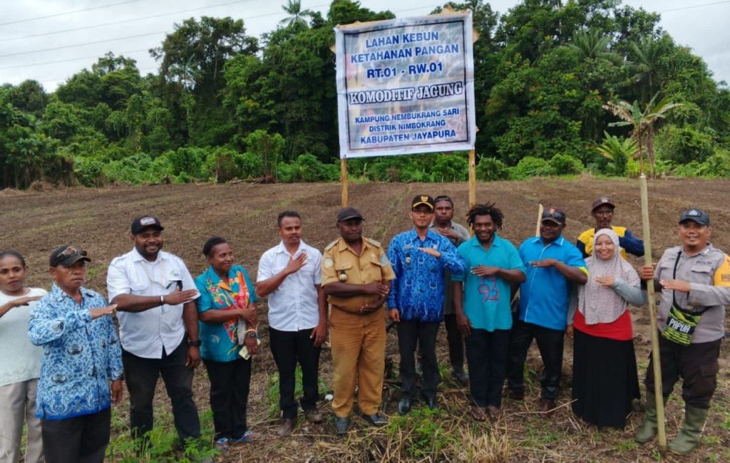 Panen Raya & Tanam Jagung di Nimbokrang: Polisi Turun ke Ladang, Warga Semakin Solid