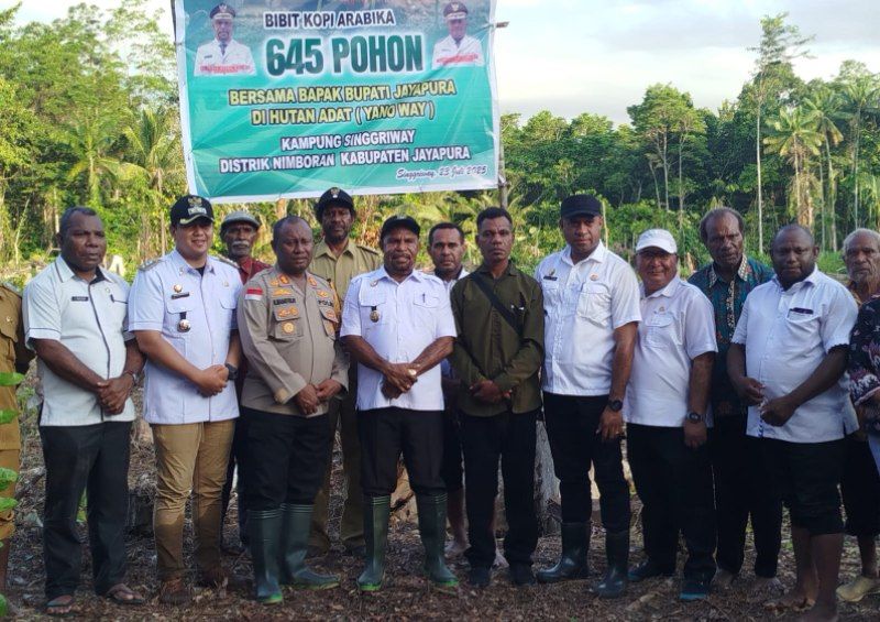 Pemkab Jayapura Tanam 645 Bibit Kopi Arabika: Bupati Ingatkan Jangan Tanam Lalu Ditinggal