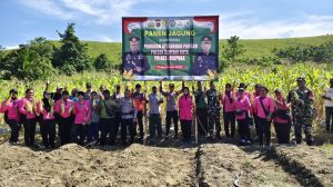 Panen Jagung di Kampung Yahim, Polsek Sentani Kota Dorong Program Ketahanan Pangan