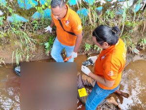 Polisi Kejar Pelaku Pembunuhan Pria 36 Tahun di Sentani Timur