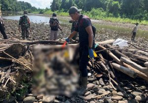 Misteri Mayat Perempuan di Sungai Mamberamo, Polres Jayapura Lakukan Olah TKP di Distrik Airu