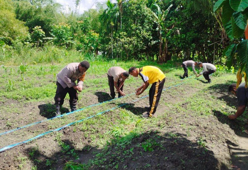 Gerakan Tanam Jagung Manis, Polsek Sentani Timur Ajak Warga Manfaatkan Lahan Kosong