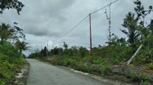 Tiang Listrik Baru Terpasang di Jalur Tengah Bakribo, Warga Puji Respons Cepat PLN UP3 Biak