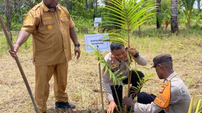 Kapolres Jayapura Turun Langsung, Tanam Sagu Bersama Jemaat di Sentani