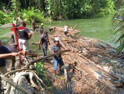 Turun Langsung, Bupati Jayapura Bongkar Sumbatan Sungai hingga Muara Danau Sentani