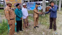 Pemkab Jayapura Salurkan 75 Sapi Kurban, Wabup Haris Yocku Serahkan Bantuan di Masjid Al Aqsha