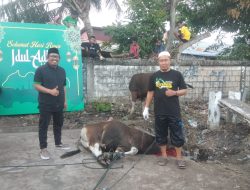 Masjid Babul Jannah Sentani Terima 9 Sapi Kurban, Jamaah Apresiasi Bantuan Bupati Jayapura
