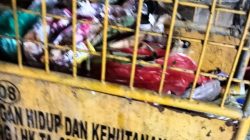 Pedagang Menjerit, Pasar Youtefa Kini Dipenuhi Sampah dan Aksi Kriminal