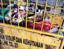 Pedagang Menjerit, Pasar Youtefa Kini Dipenuhi Sampah dan Aksi Kriminal