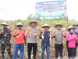 Kapolres Jayapura Ajak Petani Perkuat Ketahanan Pangan Lewat Panen Raya Jagung