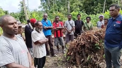Dari Perbatasan Keerom, David Waromi Usung Misi Besar Kemandirian Petani Papua