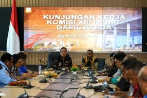 PJ Gubernur Papua dan Anggota DPR RI Dapil Papua Bahas Isu Strategis