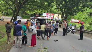 Pohon Tumbang di Abepura Tewaskan Pengendara Motor, Polisi: Langsung Timpa Kepala Korban