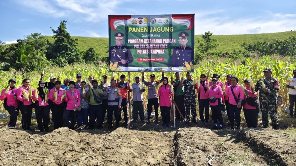 Panen Jagung di Kampung Yahim, Polsek Sentani Kota Dorong Program Ketahanan Pangan