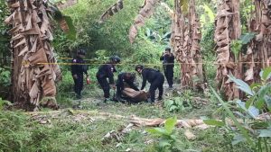 Detik-Detik Menegangkan: Bom Peninggalan Perang Dunia II Ditemukan di Sentani, Nyaris Dijual ke Tukang Besi Tua