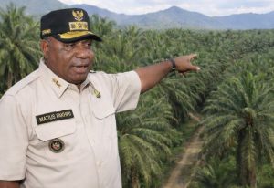 Gubernur Papua Pastikan Tak Ada Izin Baru Sawit, Lahan Bermasalah Siap Dievaluasi