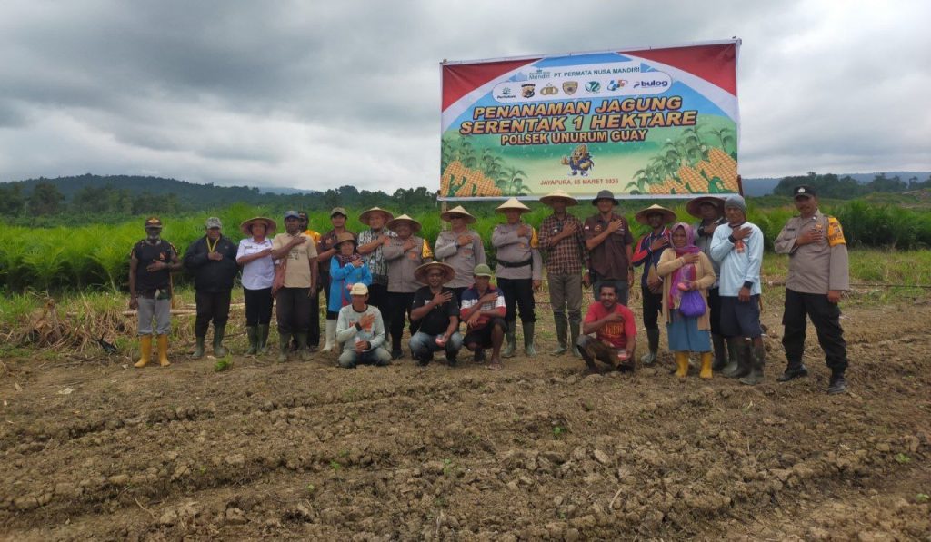 Polres Jayapura Tanam Jagung 1 Hektare di Unurumguay, Dorong Ketahanan Pangan Nasional