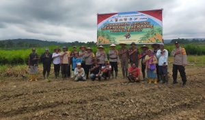 Polres Jayapura Tanam Jagung 1 Hektare di Unurumguay, Dorong Ketahanan Pangan Nasional