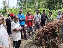 Dari Perbatasan Keerom, David Waromi Usung Misi Besar Kemandirian Petani Papua
