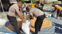 Polres Jayapura Olah 730 Kilogram Jagung Hasil Panen, Siap Masuk Tahap Pengeringan