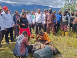 Bupati Intan Jaya: Daerah Kami Seperti Darurat Militer, Warga Hidup dalam Ketakutan