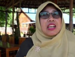 Karantina Papua Gagalkan Perdagangan Ilegal, Cenderawasih hingga Anggrek Dilindungi Kembali ke Habitat