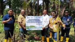 Tonny Tesar dan Pelindo Tanam Sagu di Hutan Huruawaka, Perkuat Ketahanan Pangan dan Jaga Warisan Adat Papua