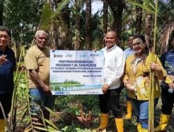 Tonny Tesar dan Pelindo Tanam Sagu di Hutan Huruawaka, Perkuat Ketahanan Pangan dan Jaga Warisan Adat Papua