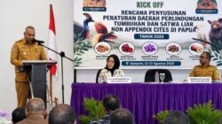 Aryoko Rumaropen: Kekayaan Alam Papua Harus Dijaga untuk Generasi Mendatang