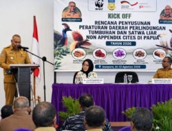 Aryoko Rumaropen: Kekayaan Alam Papua Harus Dijaga untuk Generasi Mendatang