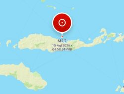 Pagi ini, Gempa M7,7 Guncang NTT, Peringatan Tsunami Dikeluarkan